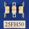 Hinode 25FH-50 fuse