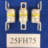 Hinode 25FH-75 fuse