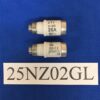 25NZ02GL