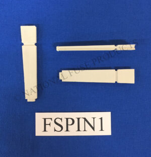 FSPIN1