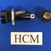 HCM