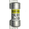 Hinode 25LG10U fuse