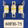 Hinode 60FH-75 fuse