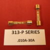 313-1P