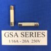 GSA1