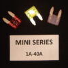 MINI-10