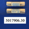 SIBA-5017906.30 fuse