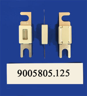 SIBA-9005805.125 fuse