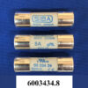SIBA 6003434.8 fuse