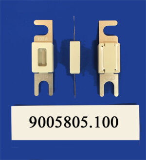SIBA-9005805.100 fuse